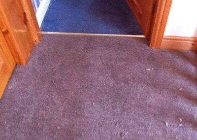 hallway carpets stoke