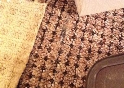 newcastle carpet fitter staffordshire